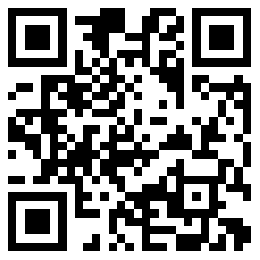 the qr code