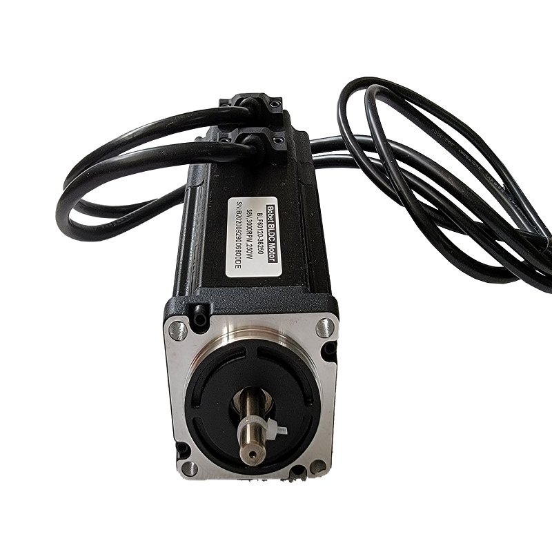 100W Brushless DC Motor, 12V/24V, 0.32 Nm